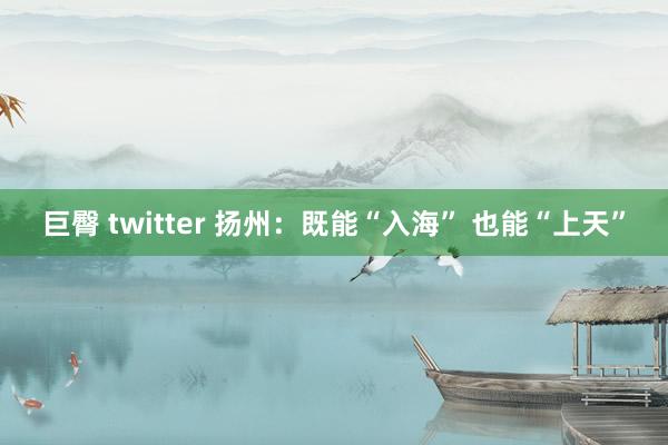 巨臀 twitter 扬州：既能“入海” 也能“上天”
