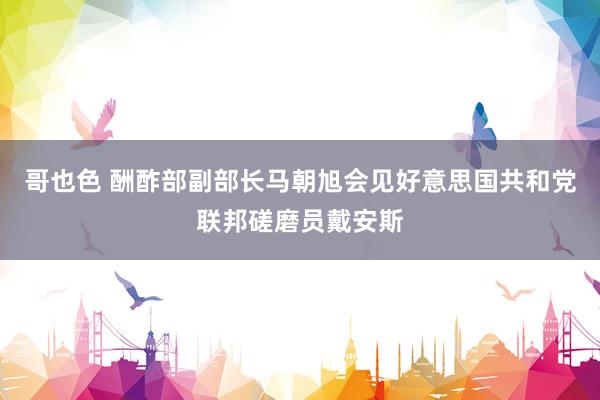 哥也色 酬酢部副部长马朝旭会见好意思国共和党联邦磋磨员戴安斯