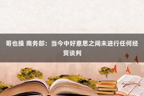 哥也操 商务部：当今中好意思之间未进行任何经贸谈判